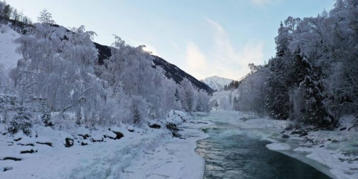 Boundless Snowscapes in Northern Xinjiang